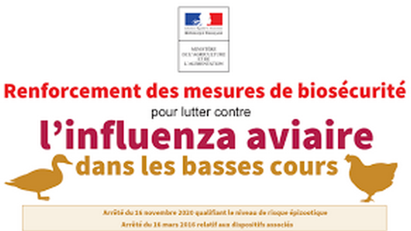 Mesures contre l'épizootie d'Influenza Aviaire Hautement Pathogène (IAHP)